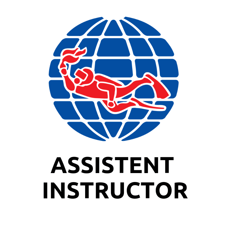 PADI Assistant instructor Ausbildung