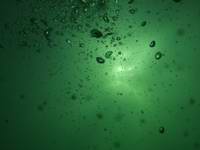 Taucher unterwasserwelt